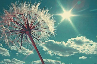 Happy sun free hd wallpapers for desktop