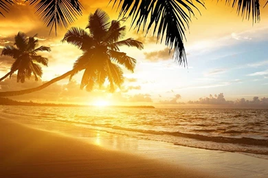 45 Beach Wallpapers For Mobile And Desktop In Full HD For Download