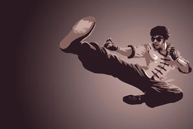 Dragon Fist Lee Sin Minimalistic Fan Art   League Of Legends ...