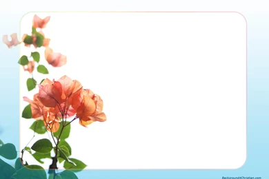 Wallpapers And Borders   Desktop Backgrounds