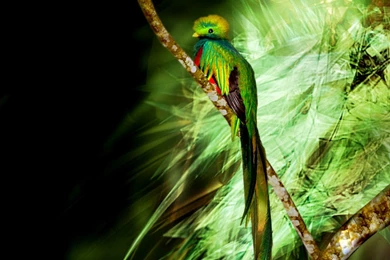 AS ECO Ecologia Marrezt