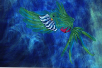 Quetzal. By Shadow Black Knight On DeviantArt