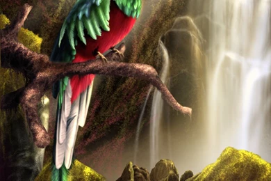 DeviantArt: More Like Quetzal By XSnowyflaketheratx