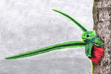 Quetzal By Yoite7 On DeviantArt