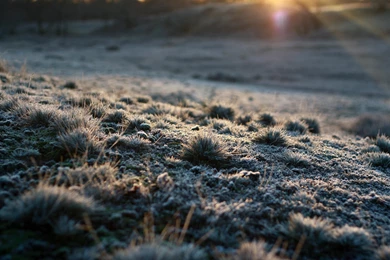 The New Wallpapers Of Ubuntu 12.10