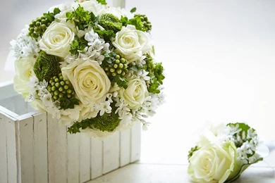 White Rose HD Wallpapers, Rose Flower Images, Rose Pictures And ...