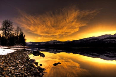 Wallpapers Skin Python Full Pattern Ashley Brookes Www Cheerific ...