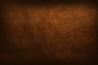 Skin Wallpapers For PC