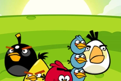 Download Angry Birds Wallpapers High Quality Resolution
