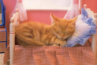 HOME SWEET HOME WALLPAPER   (