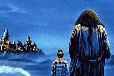 Harry Potter Painting, Harry And Hagrid. IOS7 HD Wallpapers ...