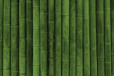 Download Wallpapers 2560x1024 Bamboo, Stick, Green, Vertical Dual ...