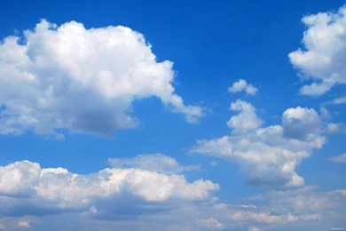 Erin Richards Bikini