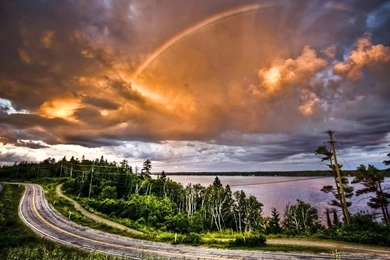 Download Latest Nature Hd Backgrounds Hd Wallpapers Full Hd ...