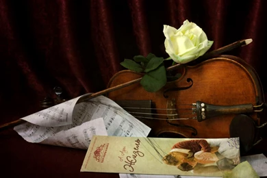 Classical Music (id: 60112) – BUZZERG