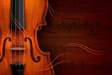 Violin On Pinterest