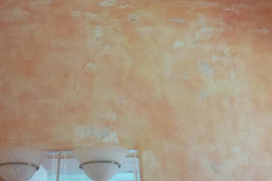 Help! My Bathroom Walls Are Ugly   Part One