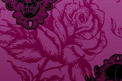 What Do You Think Ashley Large Winged Skull Pink Black Wallpapers ...