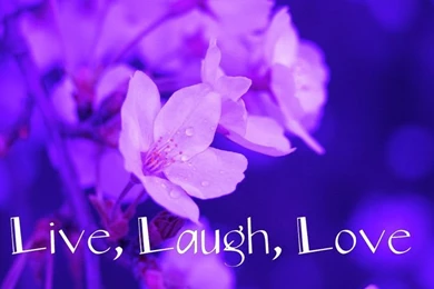 Live Laugh Love On Pinterest
