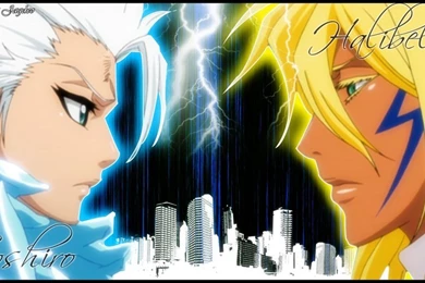 Toshiro Vs Halibel By Amit55 On DeviantArt