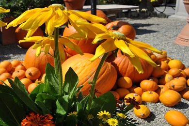 Pretty Halloween Wallpapers   Wallpapers Cave