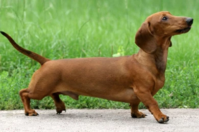 Texture Over Wallpapers 33938 HD Wallpapers