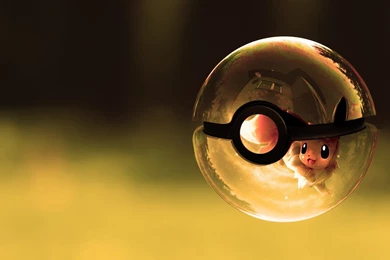 Pokemon Full HD Backgrounds / 1920x1080