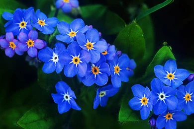 Amazing Views, Nature Wallpapers For Samsung, Hd Landscape ...