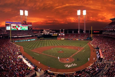 The 2016 Stadium Food Preview. Part 1: The Big, The Bad, And The ...