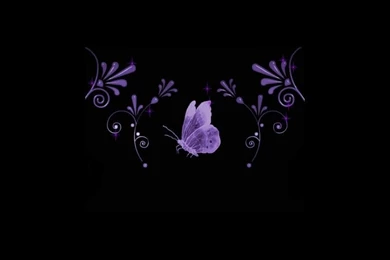 Wallpapers Purple Butterfly On Black Free 800x600