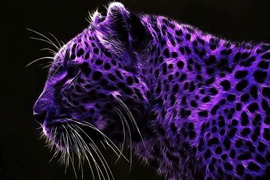 Purple Tiger With Black Dots   Artistic Wallpapers