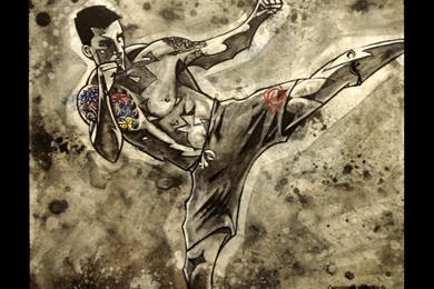 Mixed Martial Arts Wallpapers   Wallpapers Cave