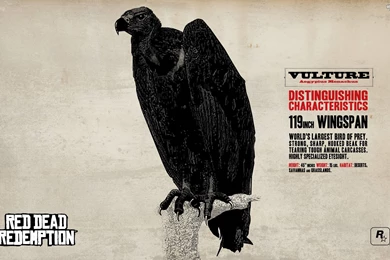 Red Dead Redemption Wallpapers   Wallpapers Cave