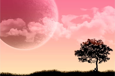 Moreha Tekor Akhe: Pink Desktop Wallpapers