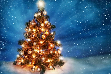 Winter: Christmas Tree Snow Lights New Year Merry Desktop ...