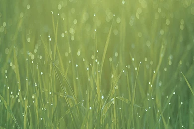 Green Ios 7 Wallpapers For Galaxy S6.jpg