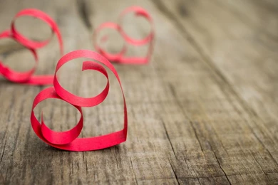 Winter Animal Wide Wallpapers : Animal Wallpapers   Ngantukan.com