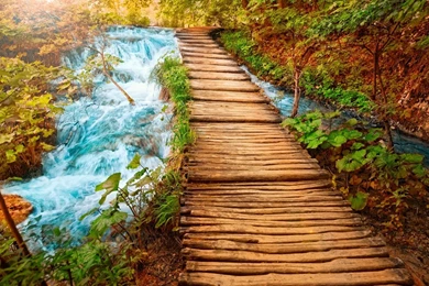 HD Wallpapers For PC Full Screen Free Download (7)