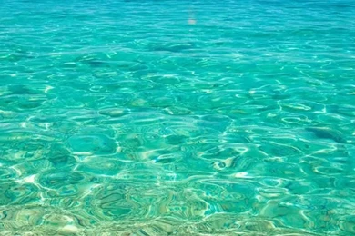 19 Quintessential Summer Photos