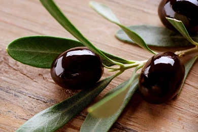 Olive Hd Widescreen Wallpapers Wallpapers At GetHDPic.com