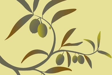 Branches Wallpapers And Backgrounds