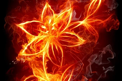 Fire Flowers iPad Wallpapers Download