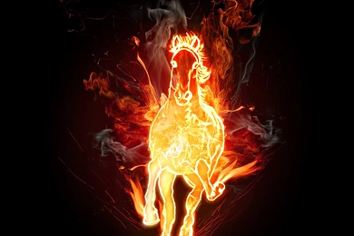 Download 1280x1024 Fire Horse Wallpapers