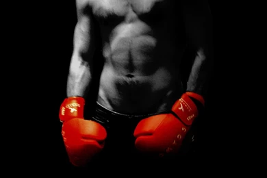 Boxer Wallpapers For 1080x1920