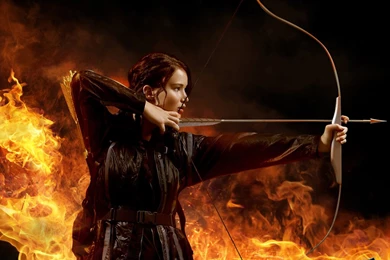 The Hunger Games Catching Fire Wallpaper Download.jpg