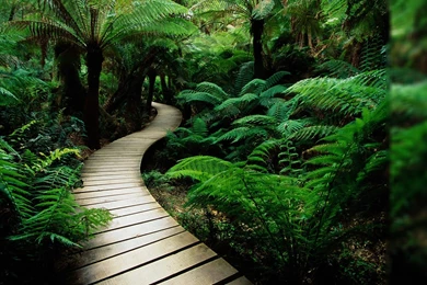 Amazing Wallpapers Of Nature For Desktop Backgrounds