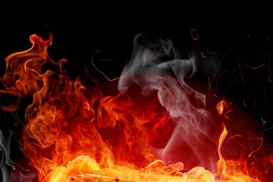 Fire Free Desktop Wallpapers Download Horses Fire Free Wallpapers In ...