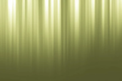 Olive Backgrounds Wallpapers » WallDevil   Best Free HD Desktop And ...