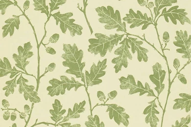 Top Wallpapers Sanderson Options 10 Wallpapers