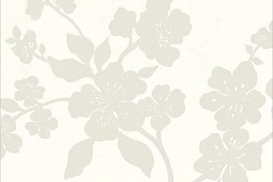 23+ iPhone Backgrounds